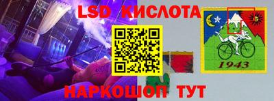 ECSTASY Новодвинск