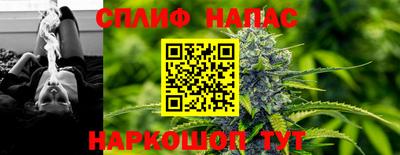 ECSTASY Новодвинск