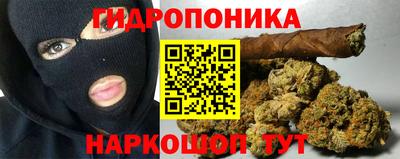 ECSTASY Новодвинск