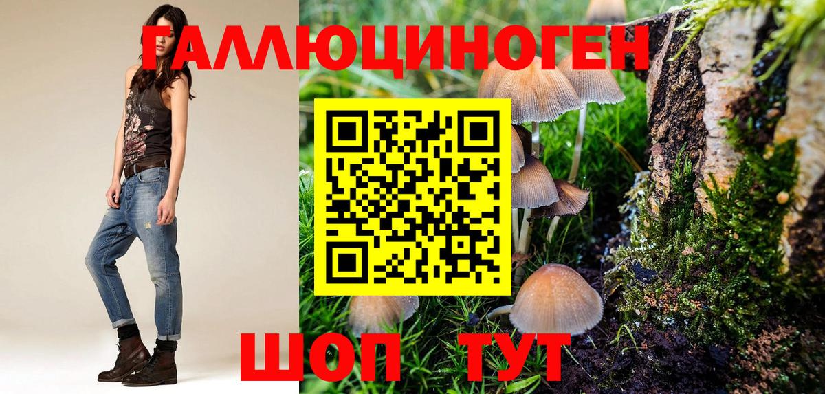 Сарапул  Псилоцибиновые грибы Cubensis  Вход с VPN 