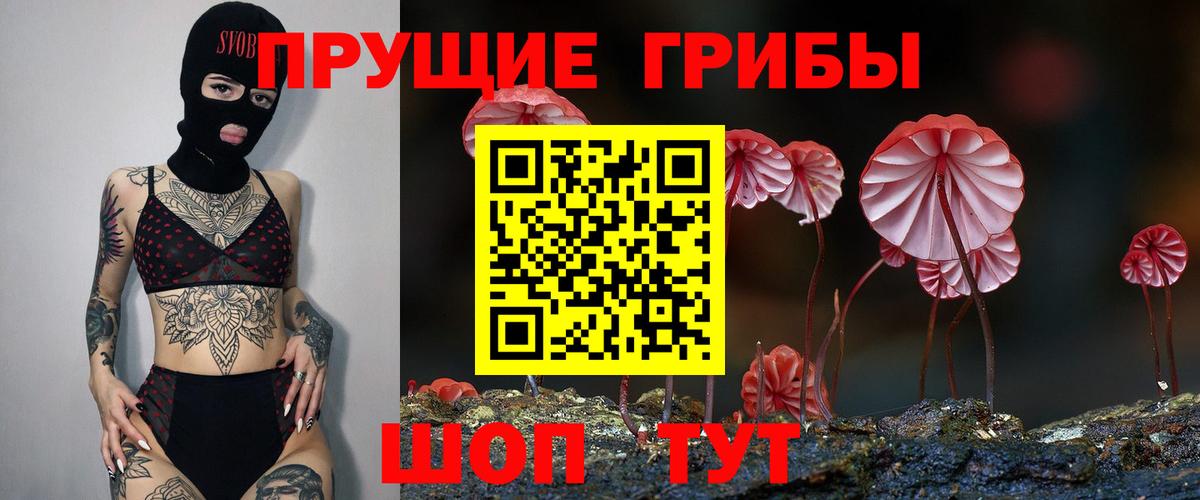 Псилоцибиновые грибы Magic Shrooms Сарапул